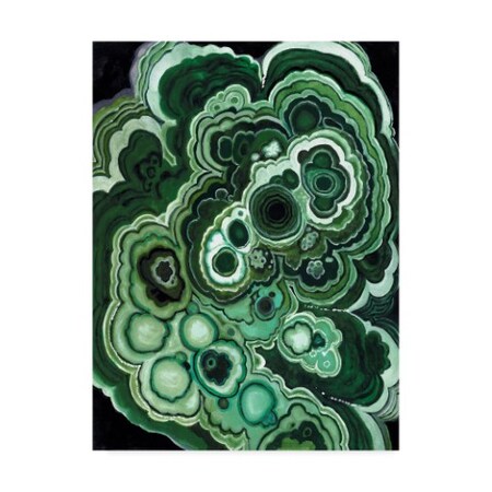 Trademark Fine Art Naomi Mccavitt 'Malachite I' Canvas Art, 14x19 WAG05330-C1419GG